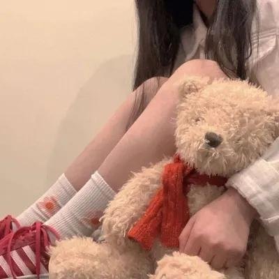 完美的独裁国家